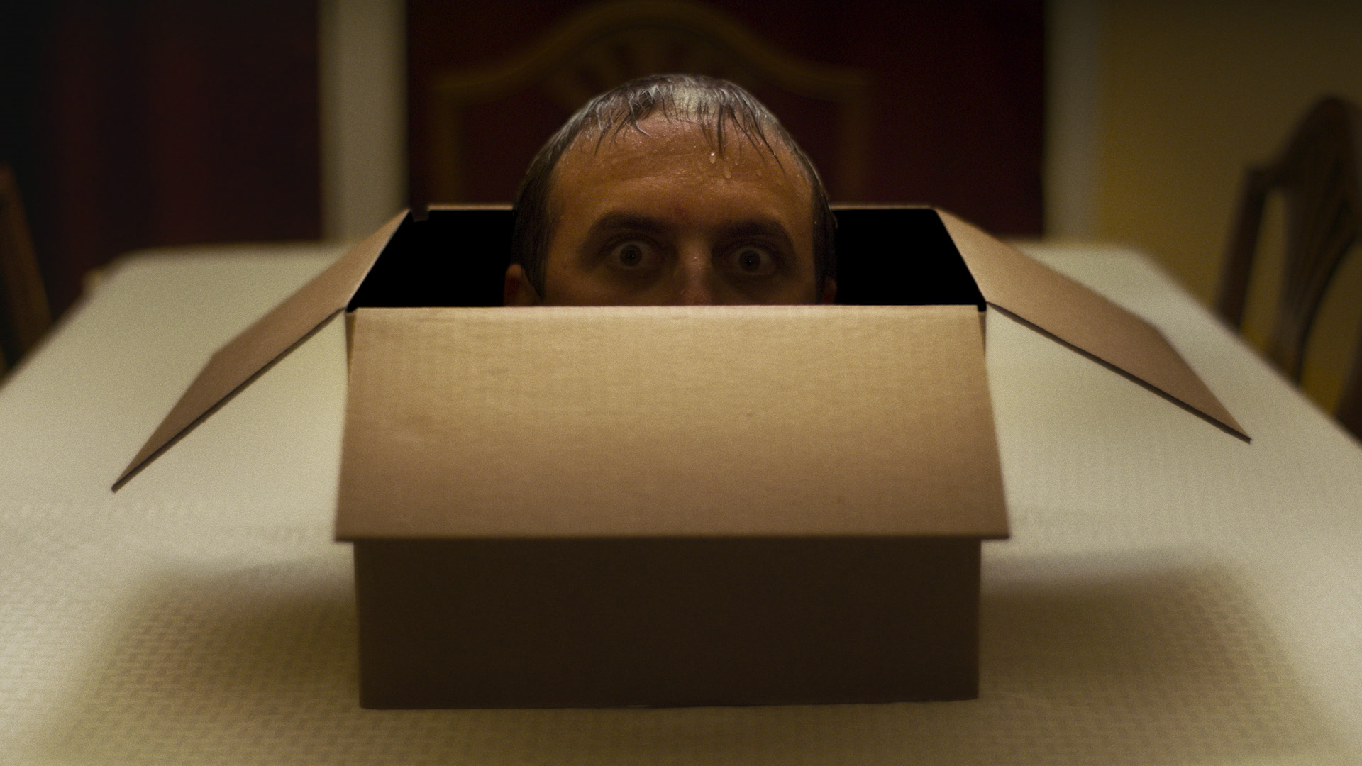 The Box Horror Movie